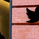 Image for article titled Twitter Is Getting Sued as Elon Musk's Mass Layoffs Start